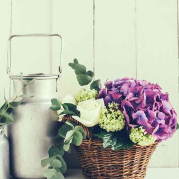 Rustic Home Decor Ideas