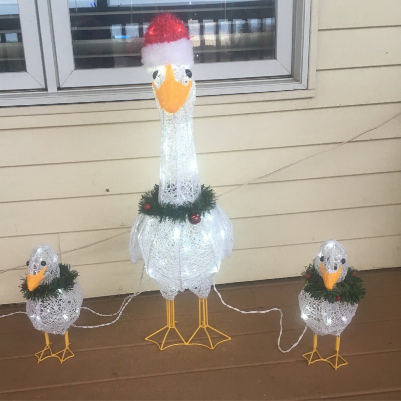 Christmas ducks.