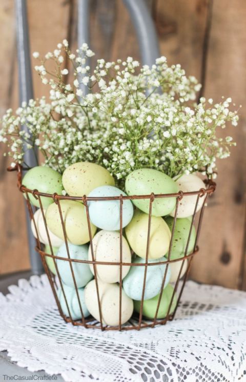 Basket Baby Breath