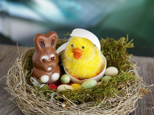 Birds Nest with Easter Surprises