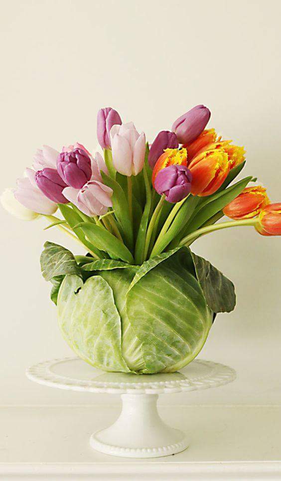 Cabbage Vase With Colorful Tulips