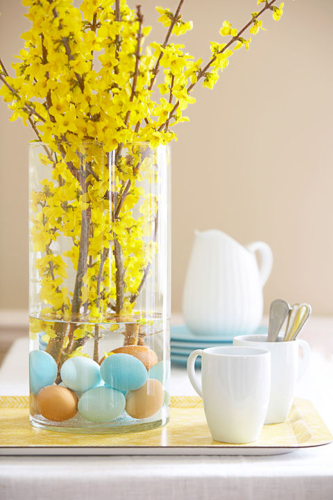 Forsythia