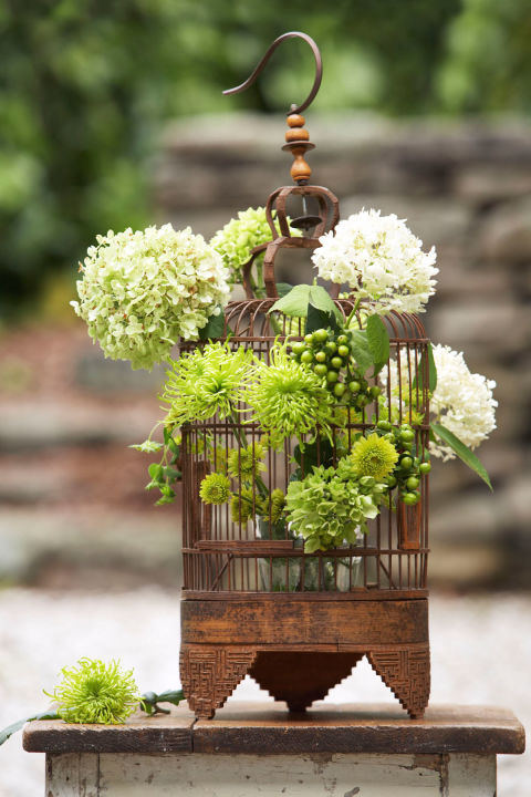 Hydrangea and Berries