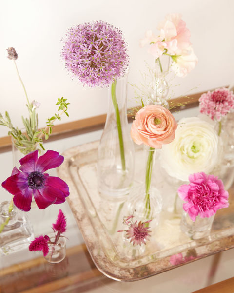 Spring Flowers in Bud Vases