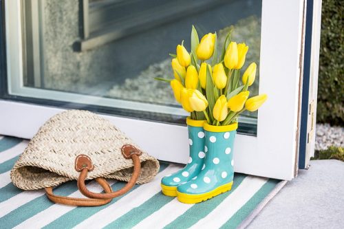 Tulips by the Door