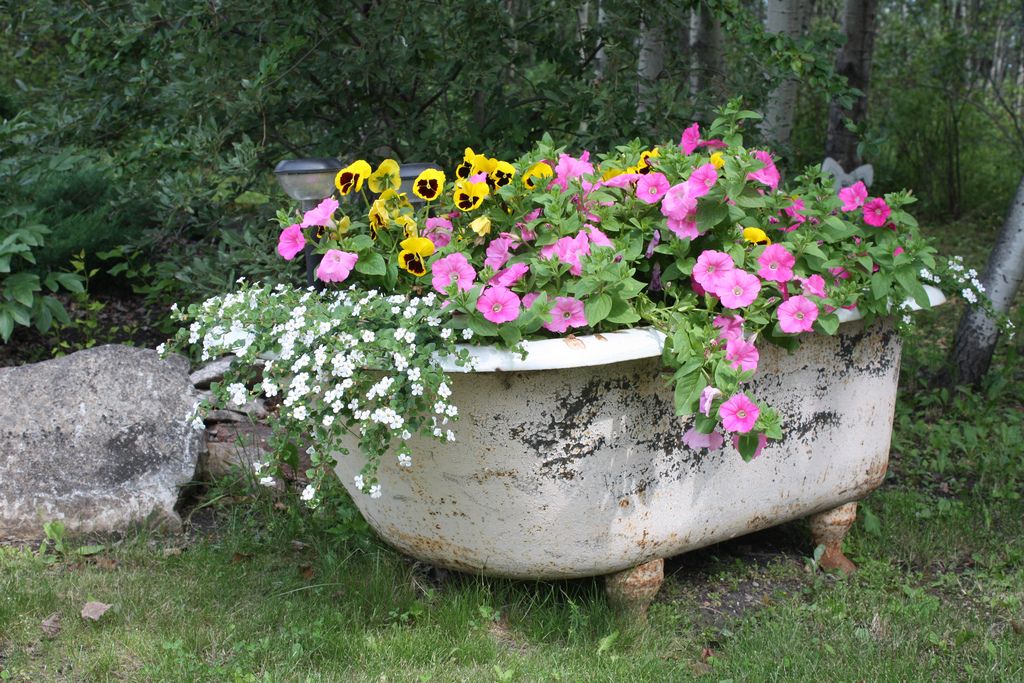 Bath-flower garden