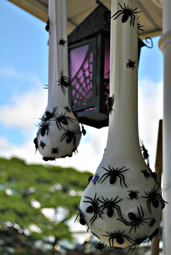 Frightening hanging spider.