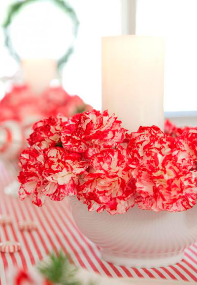 Pinto carnations and a candle for this DIY Christmas center.