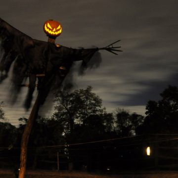 Pumpkin Scarecrow