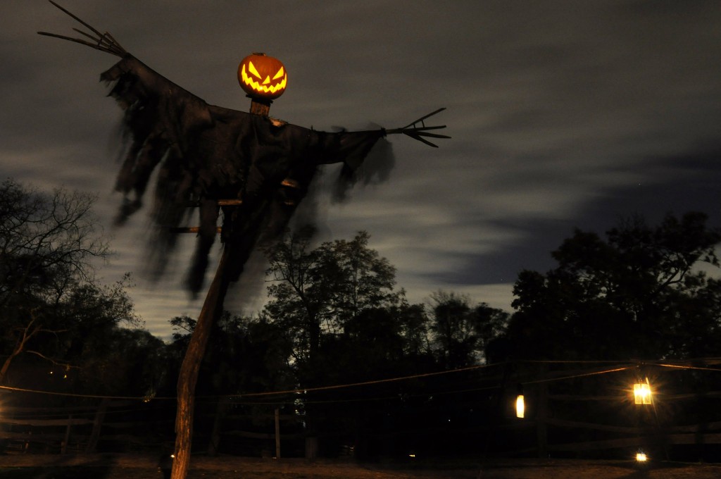 Pumpkin Scarecrow