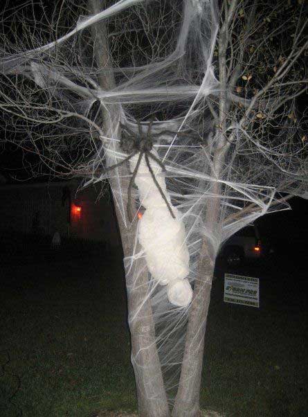 Spider victim on a tree.