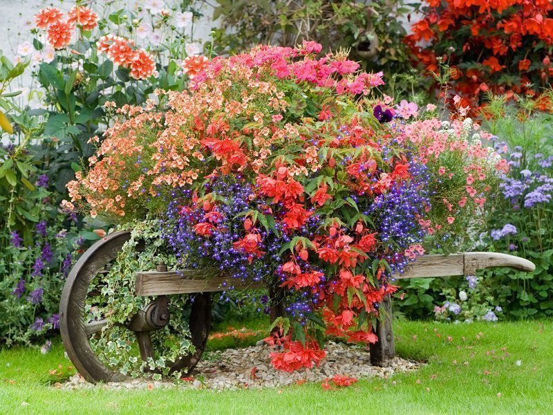 Trolley with flowers