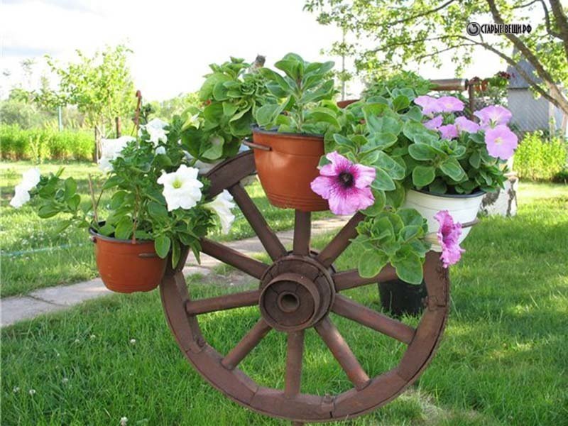 Wheel from a cart with flowers
