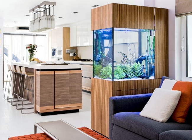 Aquarium separates the kitchen and living room