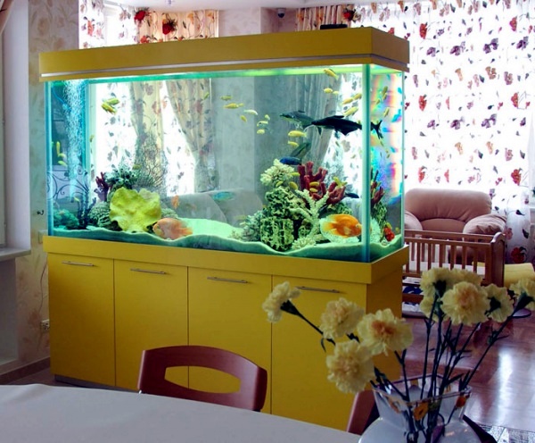 Aquarium with yellow furniture
