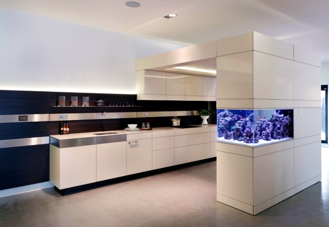 Aquarium Design Ideas - Built-in aquarium in white kitchen