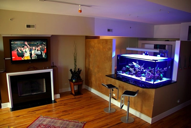 Aquarium Design Ideas / Kitchen counter
