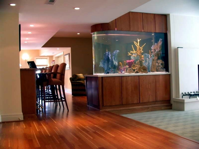 Large aquarium cabinet