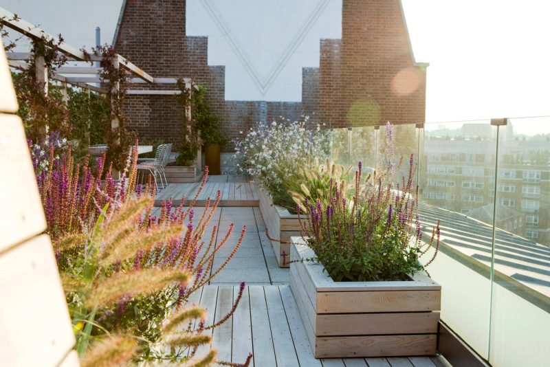 Planting on the roof is a must!