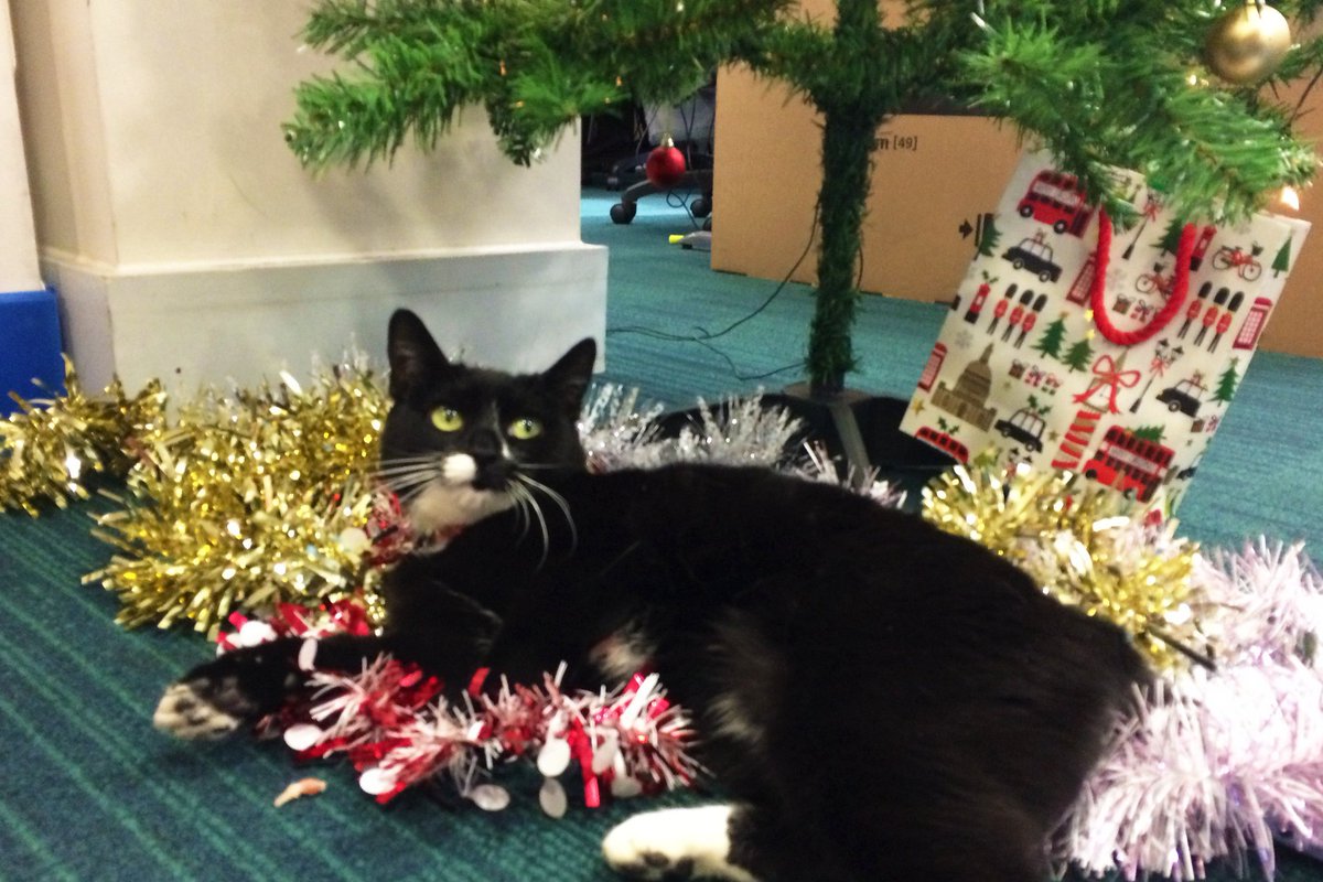 #Christmas #Office #Decoration #Ideas A very Merry Christmas from me, seen here sitting under our Office Tree!