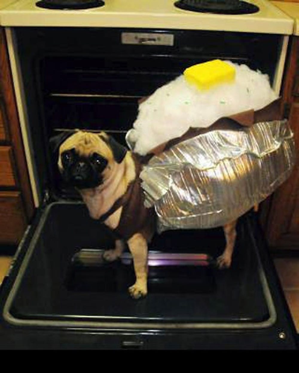 Baked Potato Dog