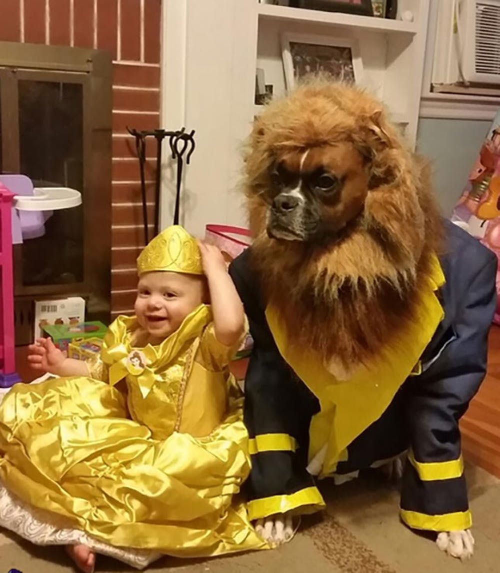 Beauty and the Beast Dog