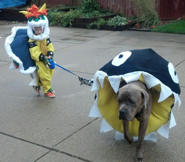 Bowser and Chomp