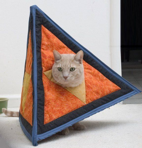 Catahedron Halloween Costume