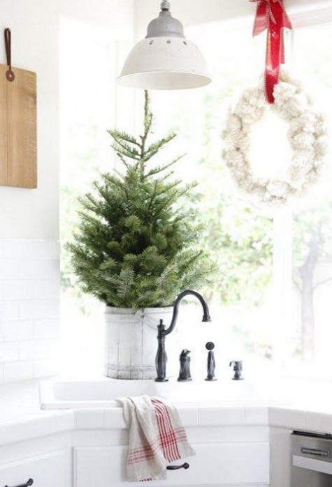 #Small #Christmas #Tree Christmas tree without decor in a bucket