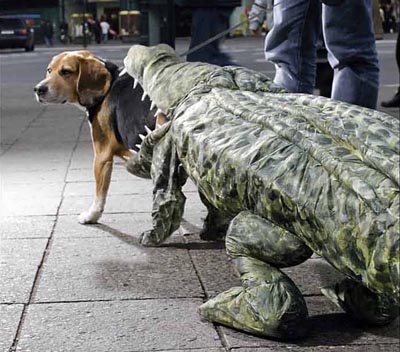 Dog Being Eaten By Crocodile Costume