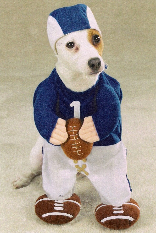 Football Player Halloween Dog Costume