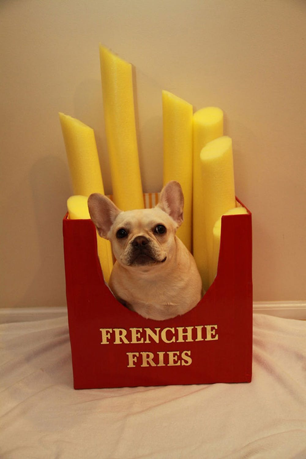 French Fry Dog