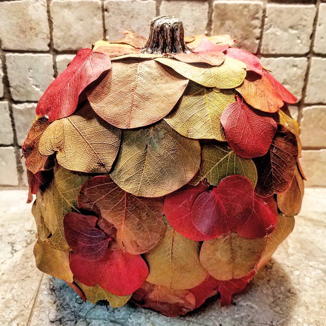 Glued some leaves to a pumpkin and I love it!