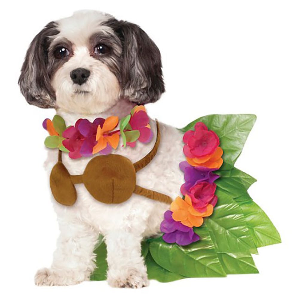 Hula Girl Dog