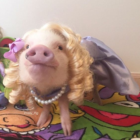 Miss Piggy Costume