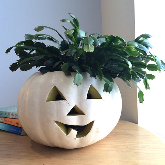 Original vase with flowers and a Halloween Pumpkin