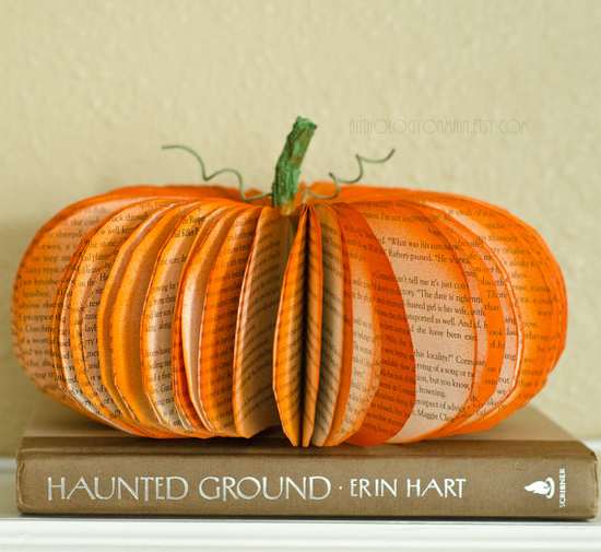 Pumpkin with an old book