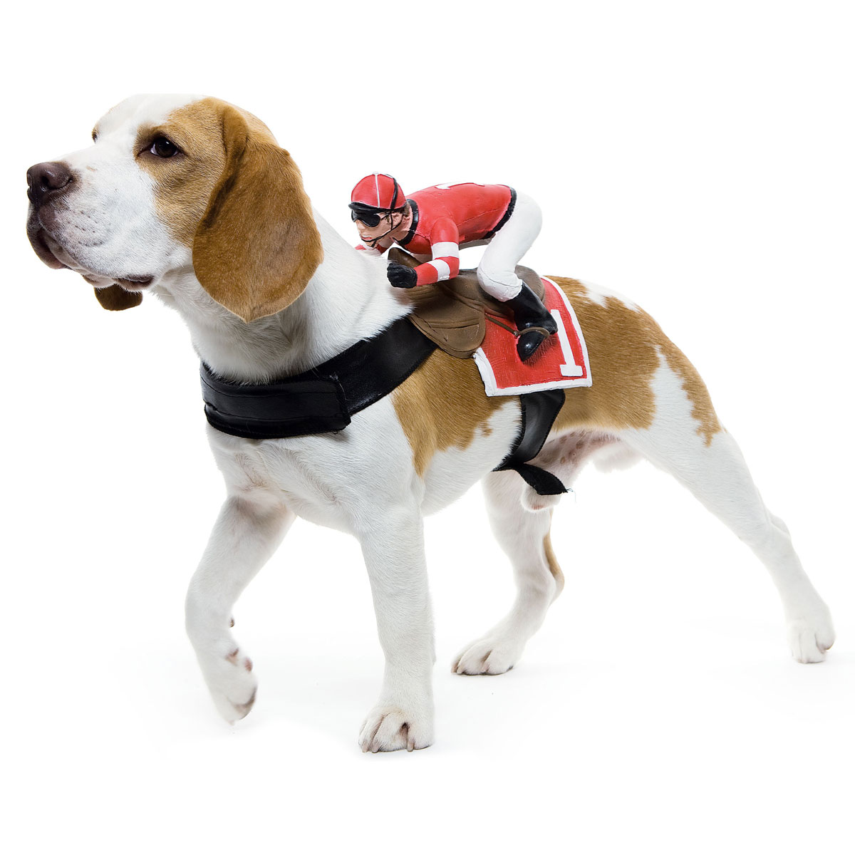 Puppy Horse Harness Racing Costume - Best Halloween Costumes for Pets