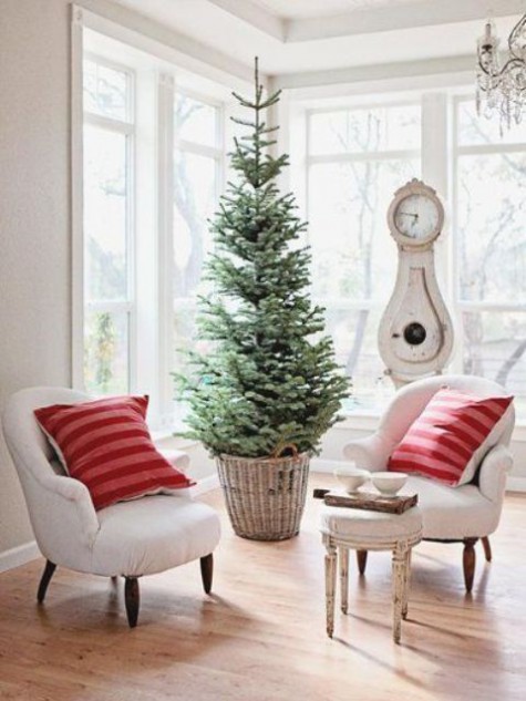 #Small #Christmas #Tree Small Christmas tree in a basket with no decor