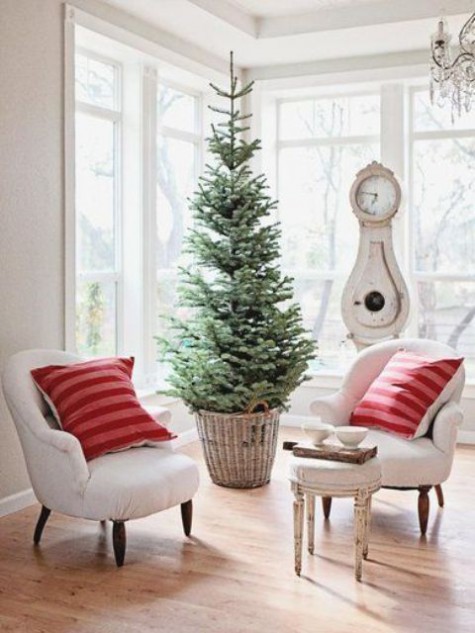 #Small #Christmas #Tree Small Christmas tree in a basket with no decor