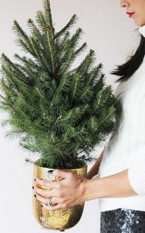 #Small #Christmas #Tree Small Christmas tree with a bold metallic pot