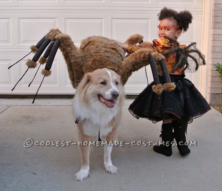 Spider Princess And Her Pet Spider