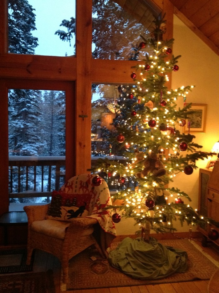 You can put the glowing fir tree next to the window