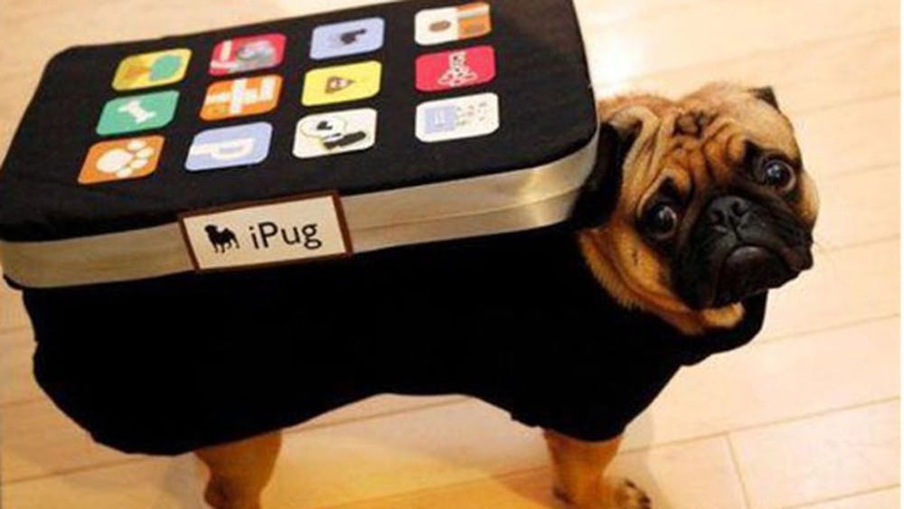 iPhone Dog