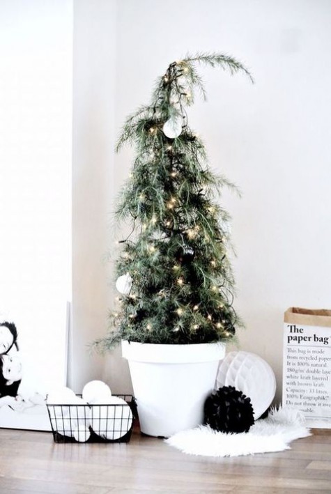 #Small #Christmas #Tree tiny potted tree with lights