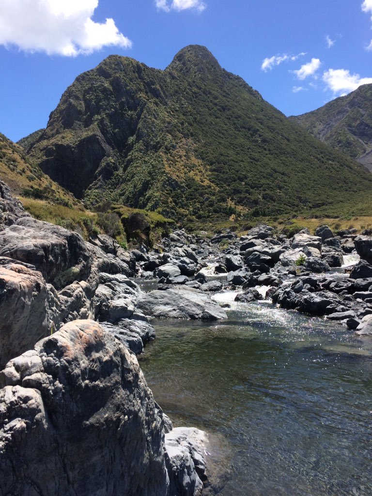 Cape Palliser.