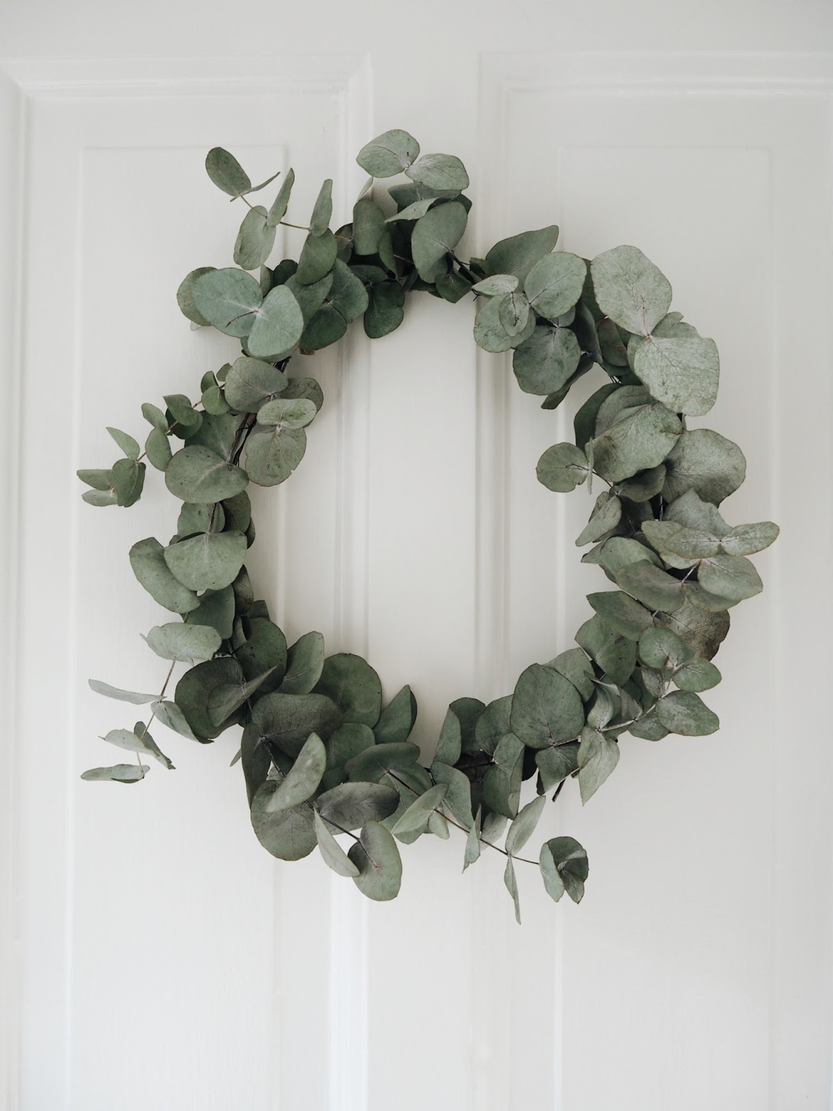 Eucalyptus Wreath