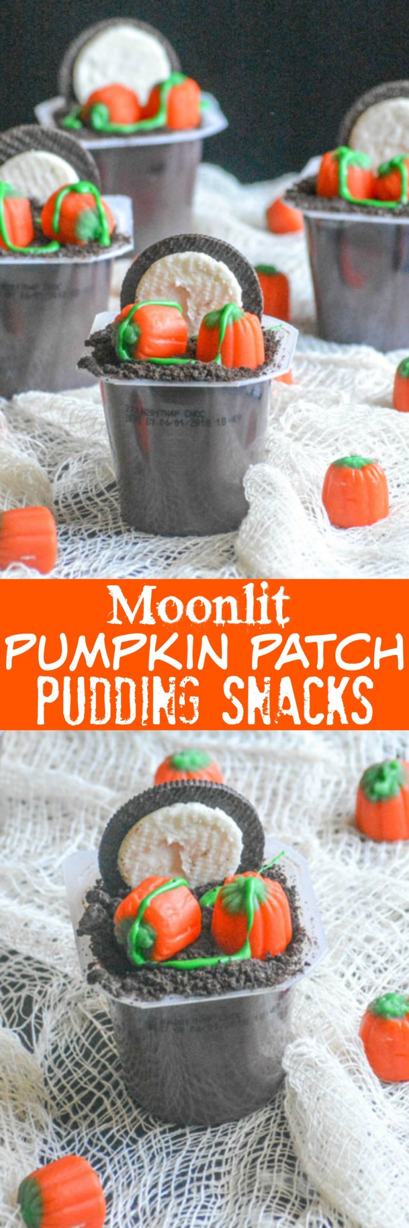 Full Moon Pumpkin Patch Pudding Cups