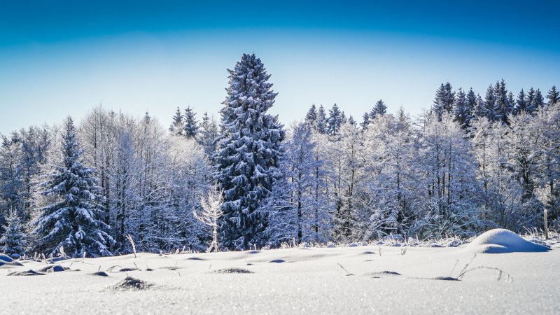 Harz Mountains.