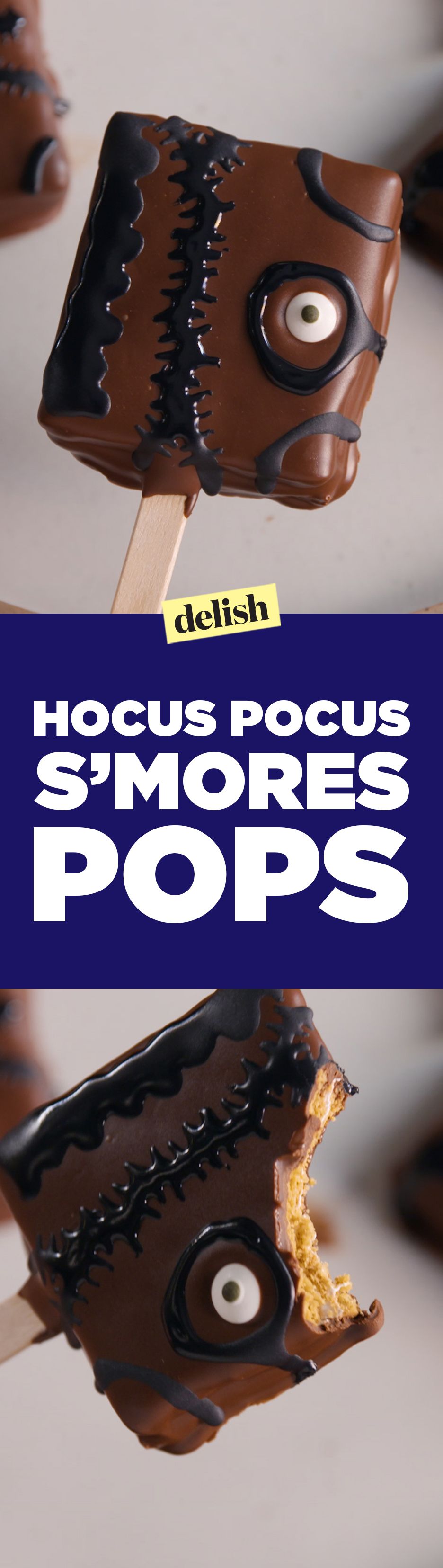 Hocus Pocus - Inspired S'mores Pops